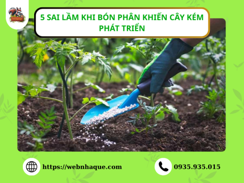 5 Sai Lầm Khi Bón Phân Khiến Cây Kém Phát Triển – Bà Con Nhất Định Phải Biết!