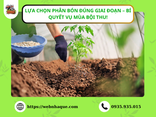 Lựa Chọn Phân Bón Đúng Giai Đoạn – Bí Quyết Vụ Mùa Bội Thu!