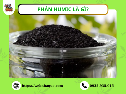 Phân Humic là gì? Lợi ích và cách sử dụng hiệu quả trong nông nghiệp