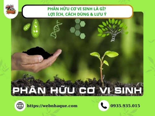 Phân hữu cơ vi sinh là gì? Lợi ích, cách sử dụng & những lưu ý cần biết