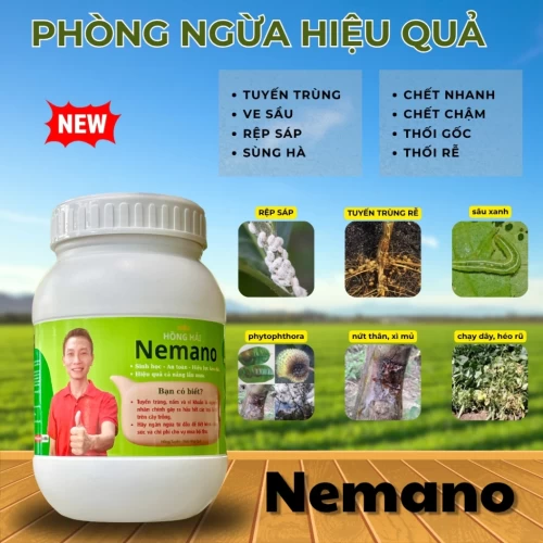 Phân bón Săn Tuyến Trùng Nemano (hủ 1kg pha 400 lít)