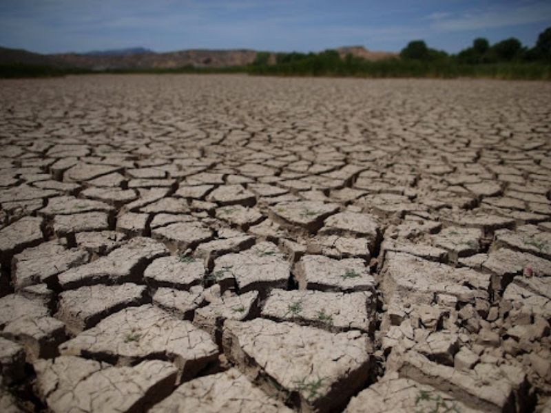 bon bao nhieu cung khong hieu qua cach giup phan tham dung cay an dung (2)