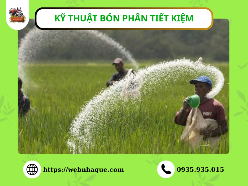 Kỹ Thuật Bón Phân Tiết Kiệm – Cây Khỏe, Đất Bền, Năng Suất Tăng