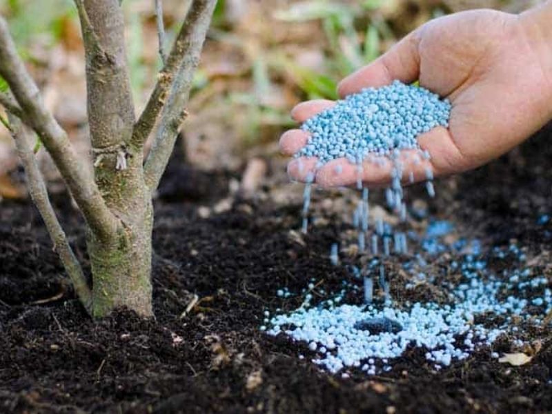 cach doc hieu thanh phan dinh duong tren bao bi phan bon (2)