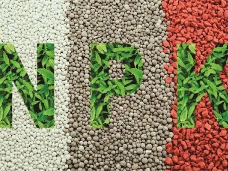 cach doc hieu thanh phan dinh duong tren bao bi phan bon (5)