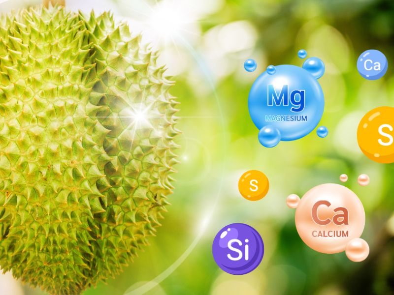 cach doc hieu thanh phan dinh duong tren bao bi phan bon (6)