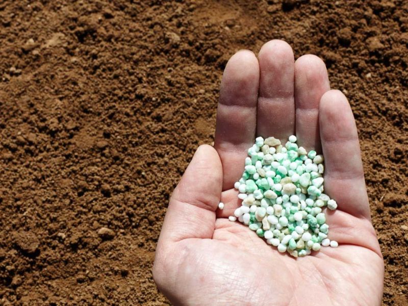 cach doc hieu thanh phan dinh duong tren bao bi phan bon (7)