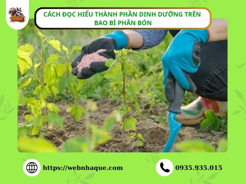 Đừng Bón Phân Theo Cảm Tính – Đây Là Cách Giúp Cây Phát Triển Chuẩn Giai Đoạn