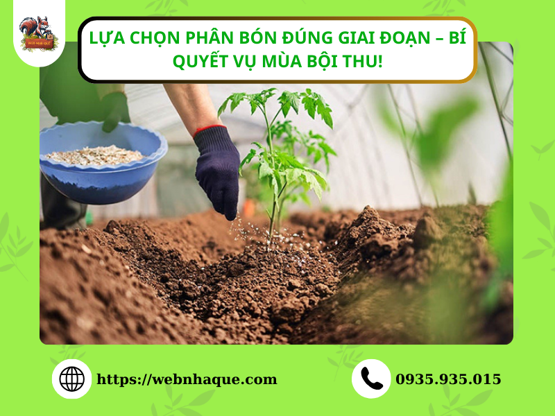 Lựa Chọn Phân Bón Đúng Giai Đoạn – Bí Quyết Vụ Mùa Bội Thu!