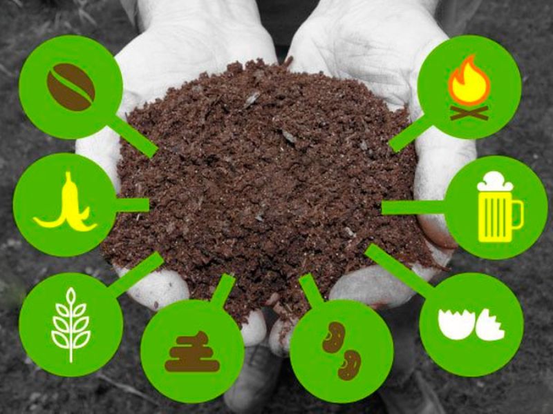 phan biet cac loai phan bon (3)