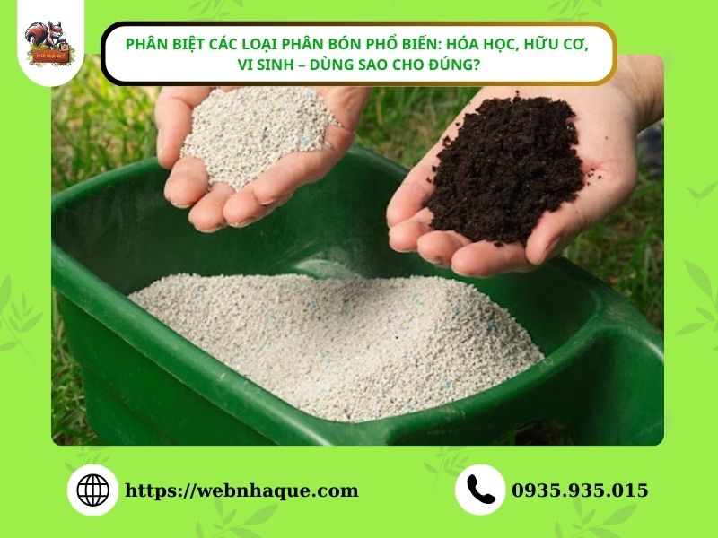 Phân biệt các loại phân bón phổ biến: Hóa học, hữu cơ, vi sinh – dùng sao cho đúng?