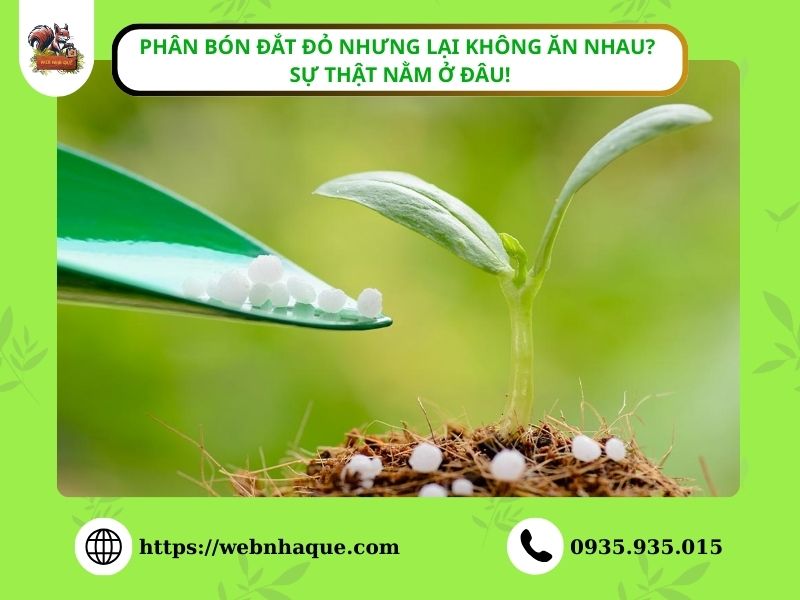 Phân Bón Đắt Đỏ Nhưng Lại Không Ăn Nhau? Sự Thật Nằm Ở Đâu!