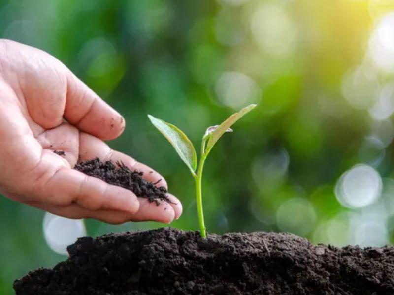 phan bon huu co khoang (1)