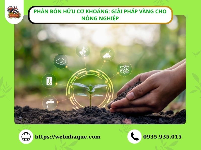 Phân bón hữu cơ khoáng: Giải pháp vàng cho nông nghiệp