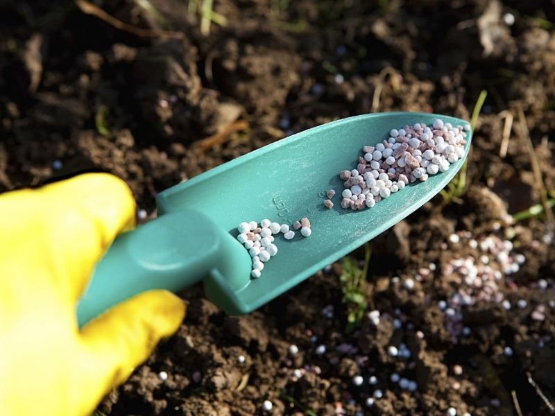 phan bon la va phan bon goc khi nao dung dung ra sao de hieu qua (6)