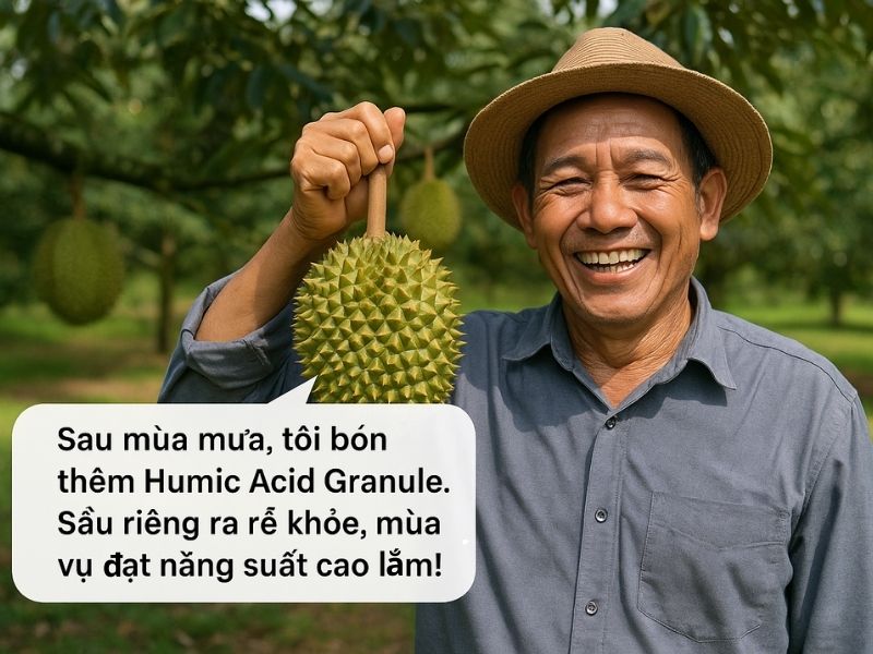 phan bon la va phan bon goc khi nao dung dung ra sao de hieu qua (7)