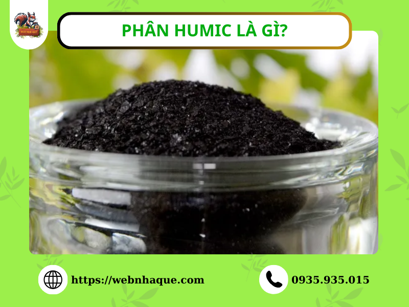 Phân Humic là gì? Lợi ích và cách sử dụng hiệu quả trong nông nghiệp