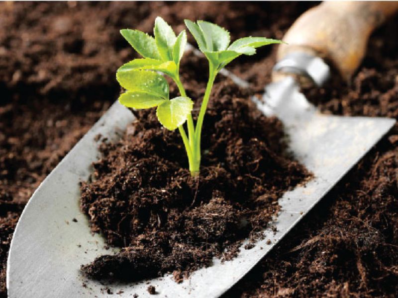 phan huu co vi sinh (3)