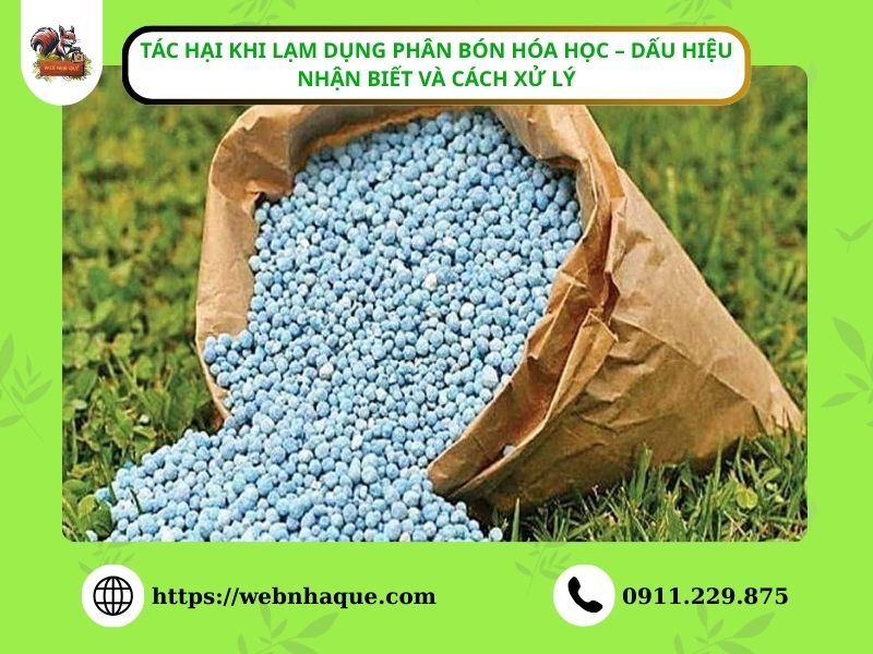 tac hai khi lam dung phan bon hoa hoc dau hieu nhan biet va cach xu ly 1