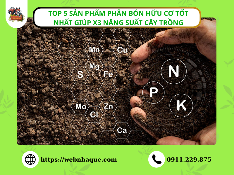 Top 5 Sản Phẩm Phân Bón Hữu Cơ Tốt Nhất Giúp Cây Khỏe – Đất Màu – Năng Suất Vượt Trội