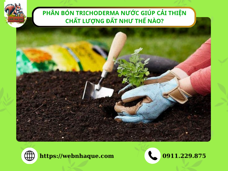 Phân bón Trichoderma nước giúp cải thiện chất lượng đất như thế nào?