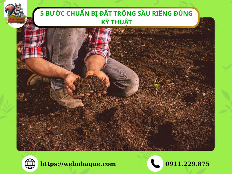 5 Bước Chuẩn Bị Đất Trồng Sầu Riêng Đúng Kỹ Thuật