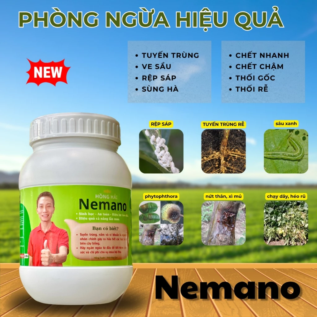 Sản phẩm NEMANO WEB NHÀ QUÊ